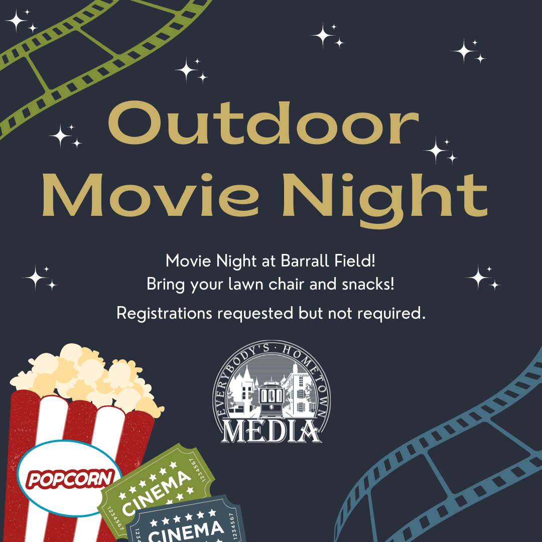Outdoor movie night - Media (2)